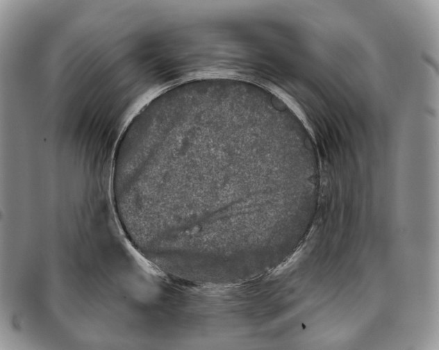 X0000096721245200803041355