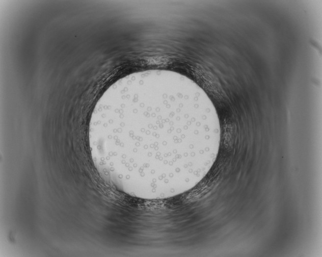 X0000096721249200803041355