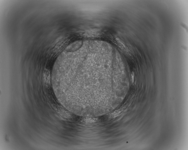 X0000096721251200803041355