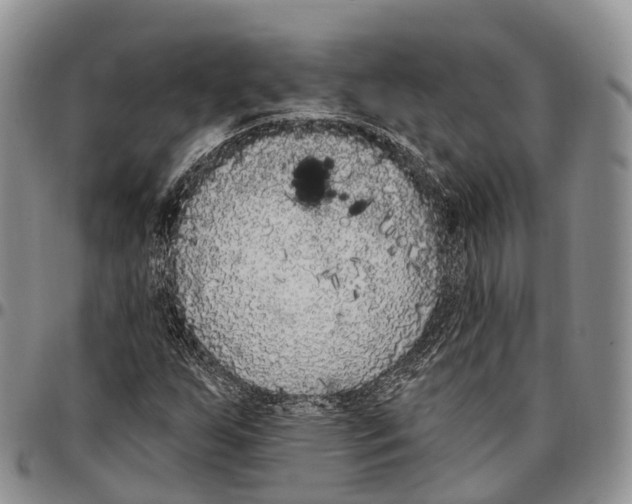 X0000096721255200803041355