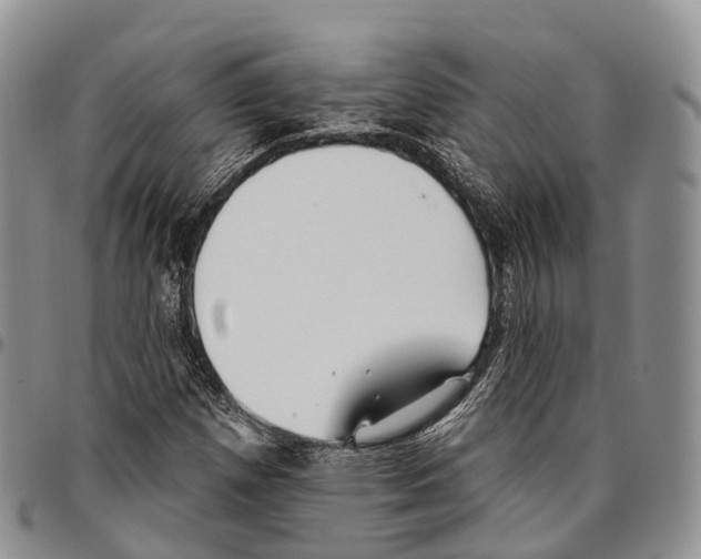 X0000096721257200803041355