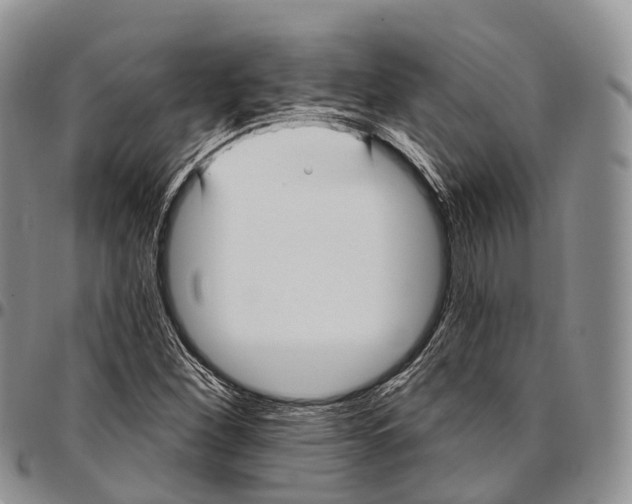 X0000096721260200803041355