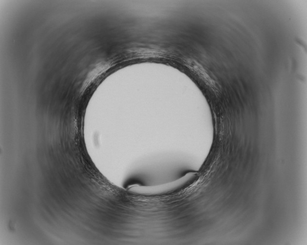 X0000096721261200803041355