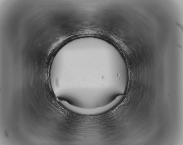 X0000096721262200803041355