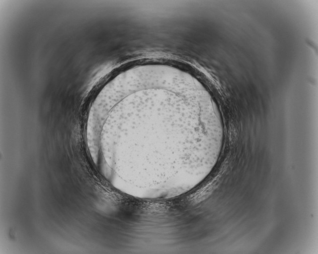 X0000096721263200803041355