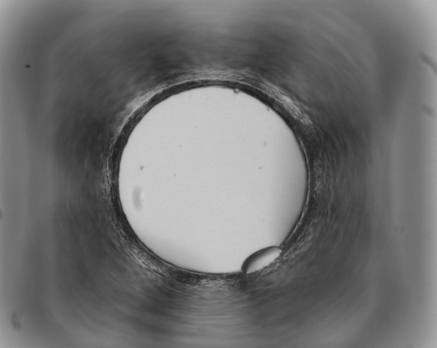 X0000096721264200803041355