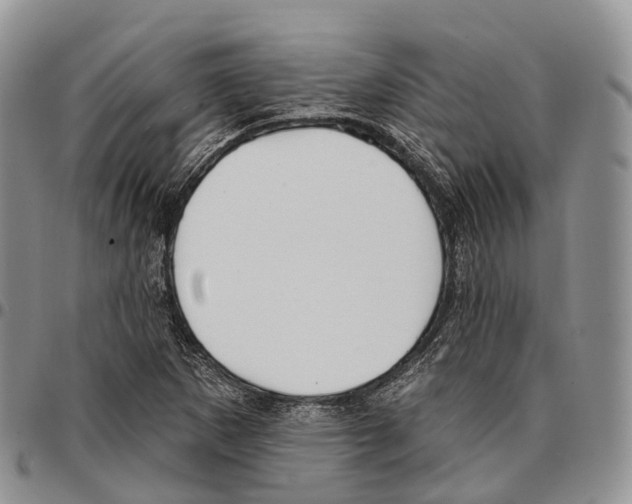 X0000096721265200803041354