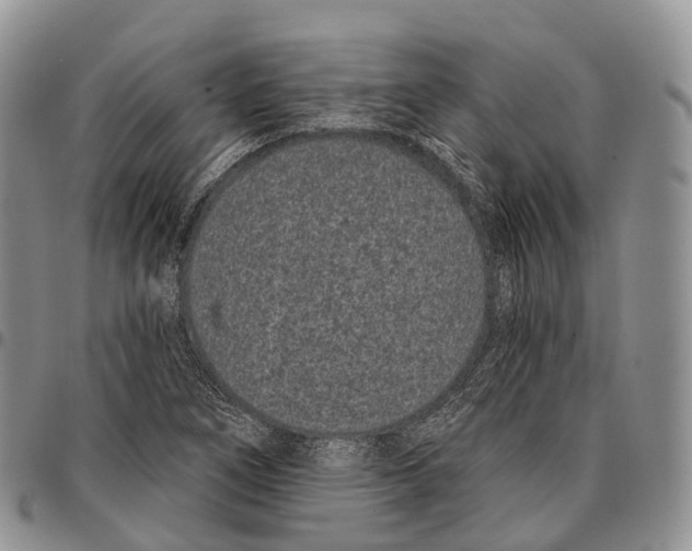 X0000096721266200803041354