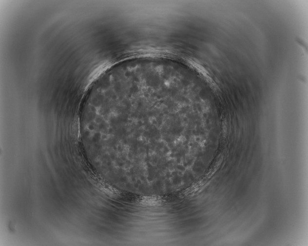 X0000096721267200803041354