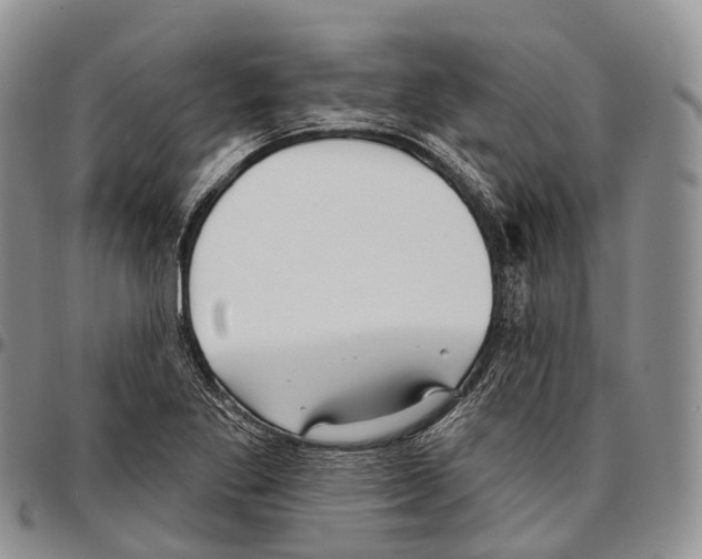 X0000096721269200803041354