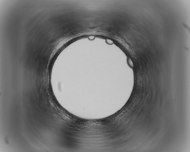 X0000096721270200803041354