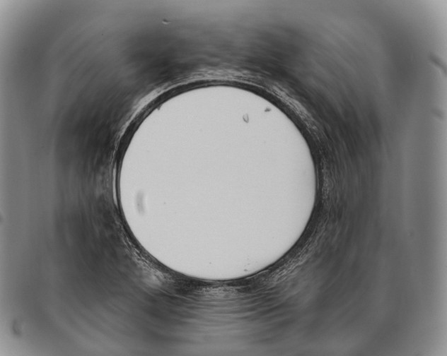 X0000096721272200803041354