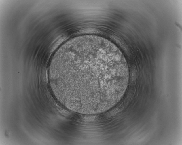 X0000096721274200803041354