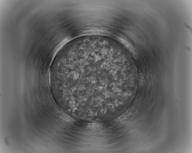 X0000096721275200803041354