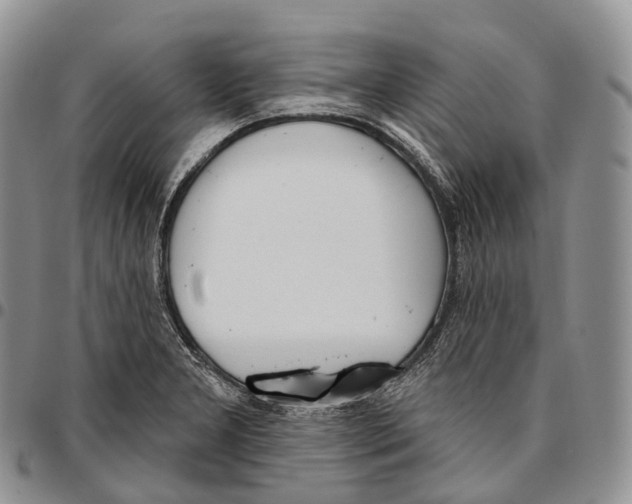 X0000096721277200803041354