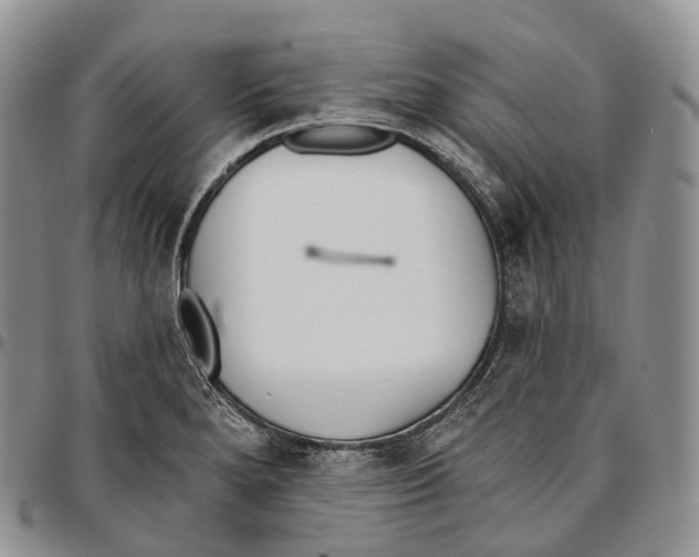 X0000096721280200803041354