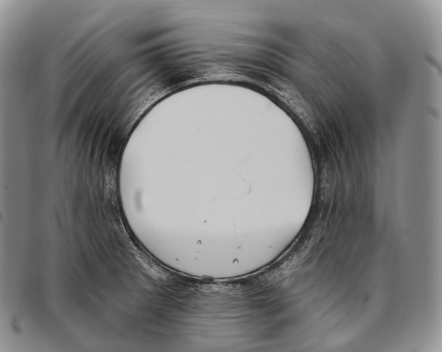 X0000096721281200803041354