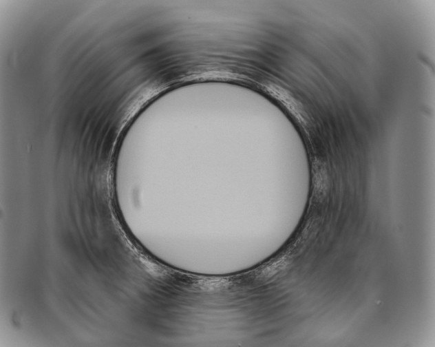 X0000096721282200803041354