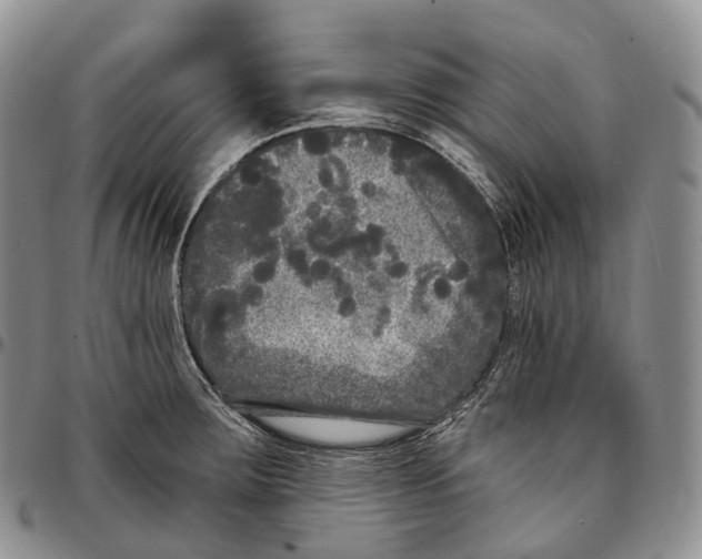 X0000096721283200803041354