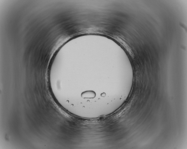 X0000096721285200803041354