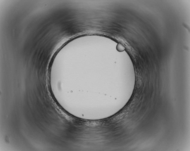 X0000096721286200803041354