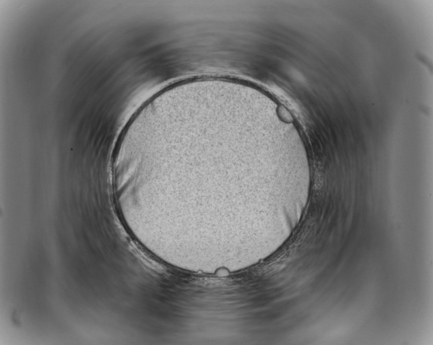 X0000096721287200803041354