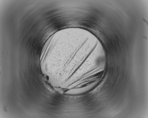 X0000096721289200803041354