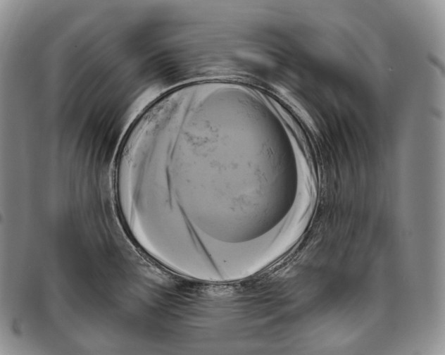 X0000096721291200803041354