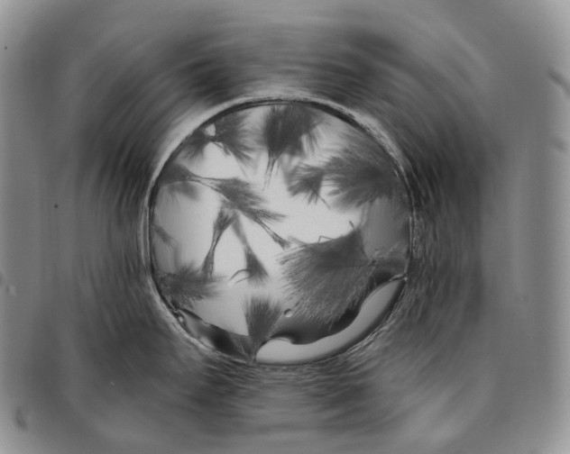 X0000096721295200803041354