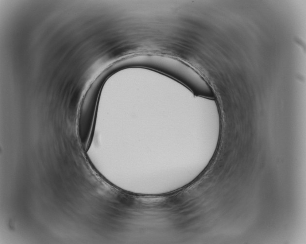 X0000096721296200803041354