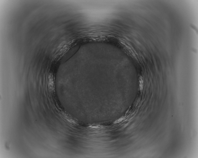 X0000096721298200803041353