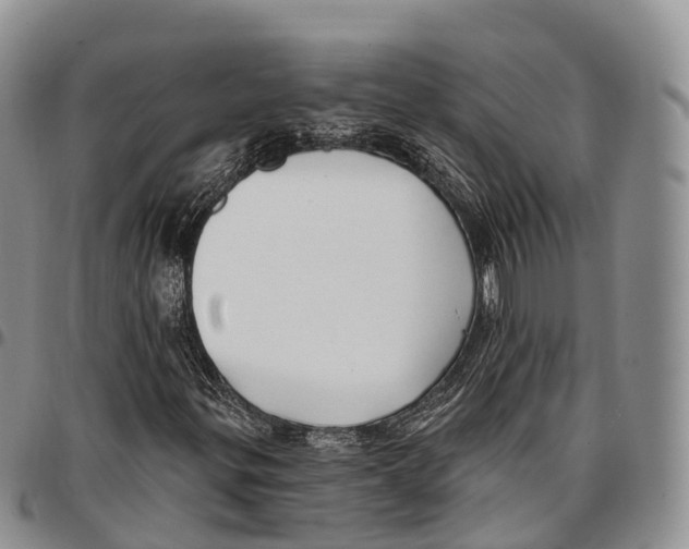 X0000096721299200803041353