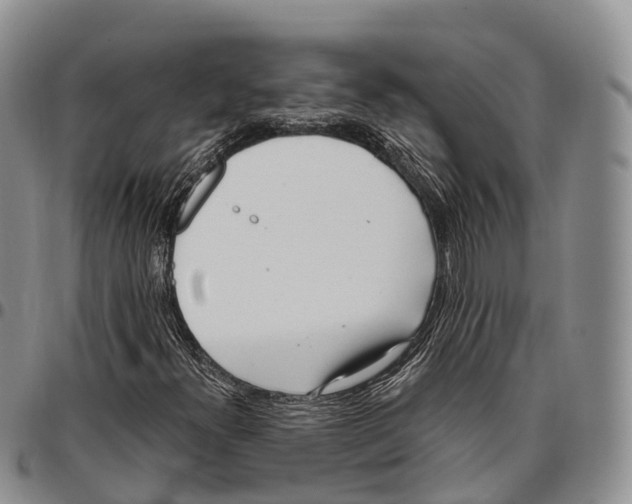 X0000096721300200803041353