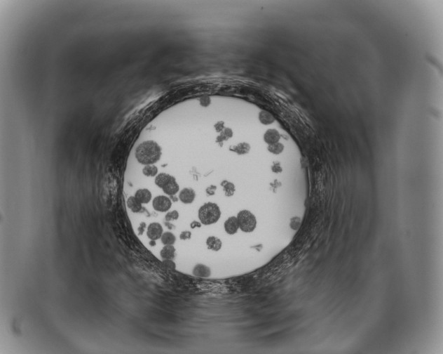 X0000096721302200803041353