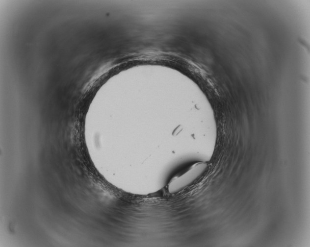 X0000096721304200803041353