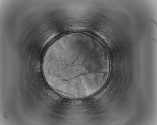 X0000096721306200803041353