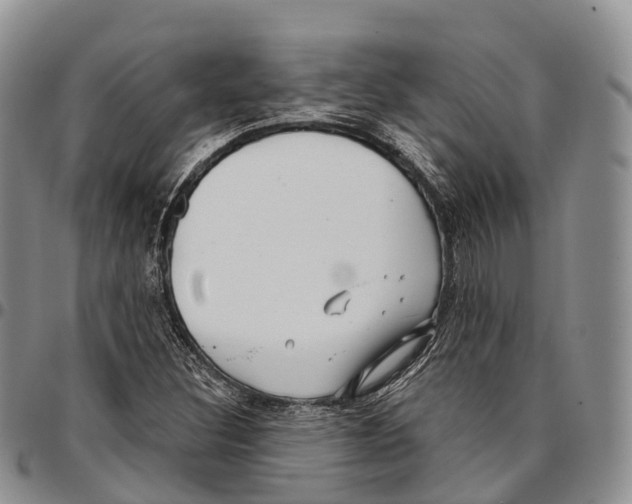 X0000096721308200803041354