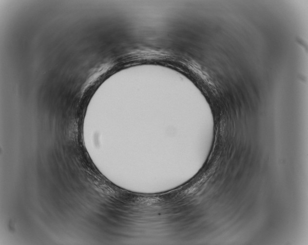 X0000096721309200803041354