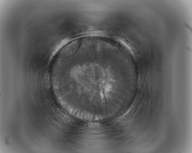 X0000096721310200803041354