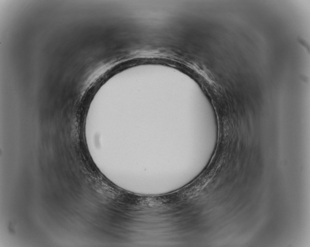 X0000096721311200803041354