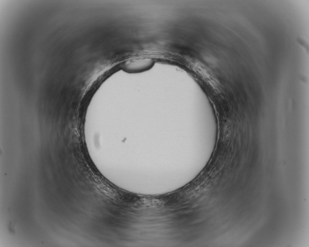 X0000096721312200803041354