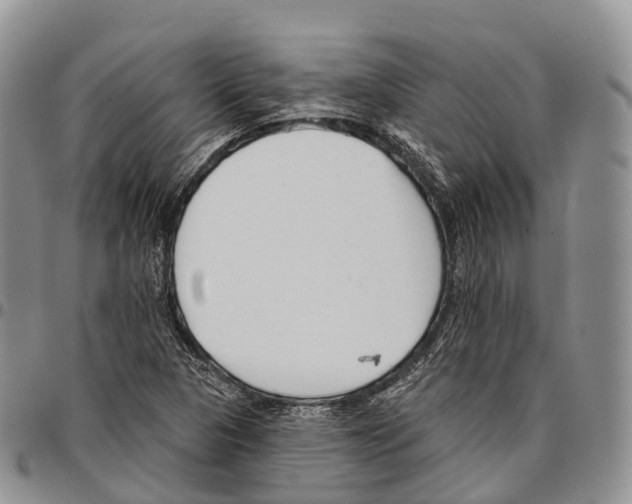 X0000096721313200803041354