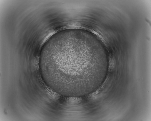 X0000096721314200803041354