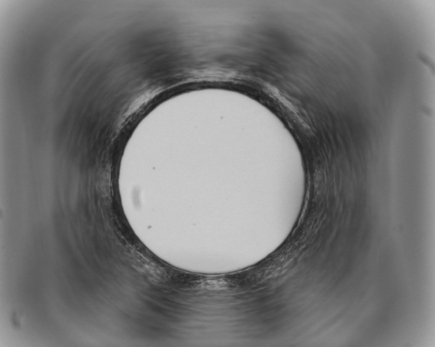 X0000096721315200803041354