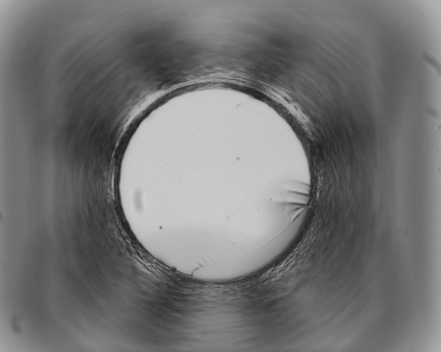 X0000096721316200803041354