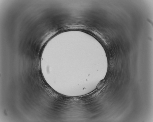 X0000096721317200803041354