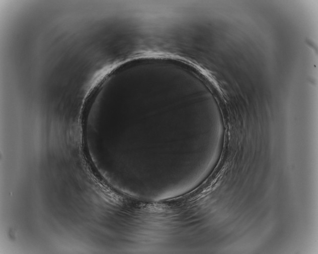 X0000096721319200803041354