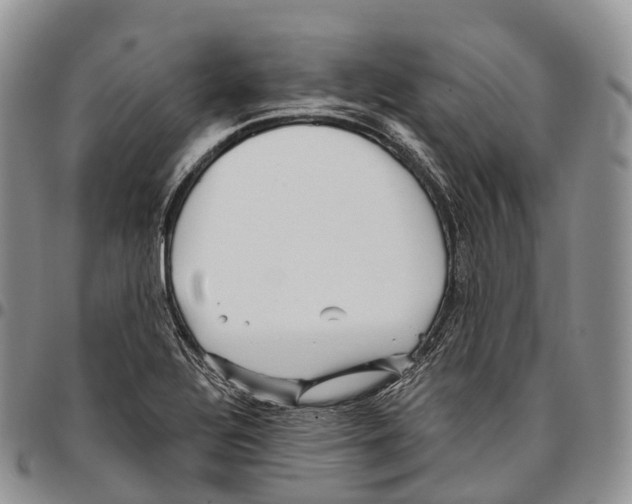 X0000096721320200803041354