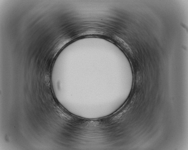 X0000096721321200803041354