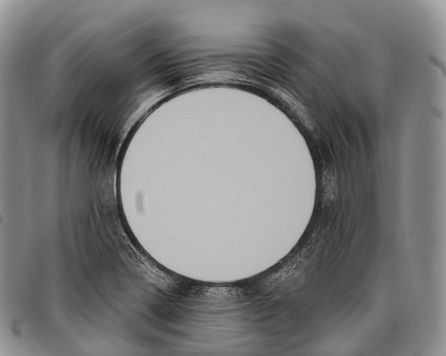 X0000096721322200803041354